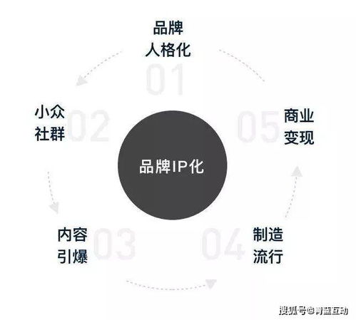 青蓝互动 互联网营销联动之下,品牌IP的圈层化你赶上了吗