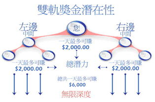 系统开发公排商业模式