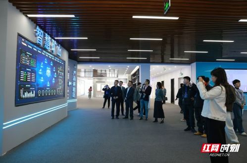 2024网聚美好安徽丨淮南万泰电子 让挖矿不再是脏活累活危险活