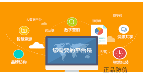 宝贝儿防伪防窜货系统开发