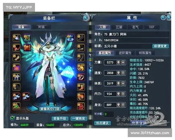 以五种武魂玄冰加点技巧为核心打造极致输出组合攻略 以五种武魂玄冰加点技巧为核心打造极致输出组合攻略